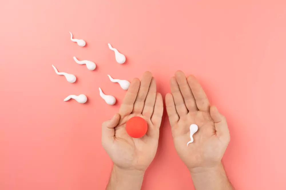 Infertility Evaluation & Treatment